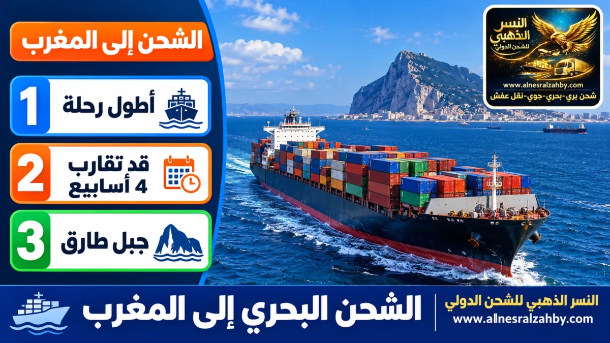 الشحن البحري إلى المغرب — النسر الذهبي للشحن الدولي